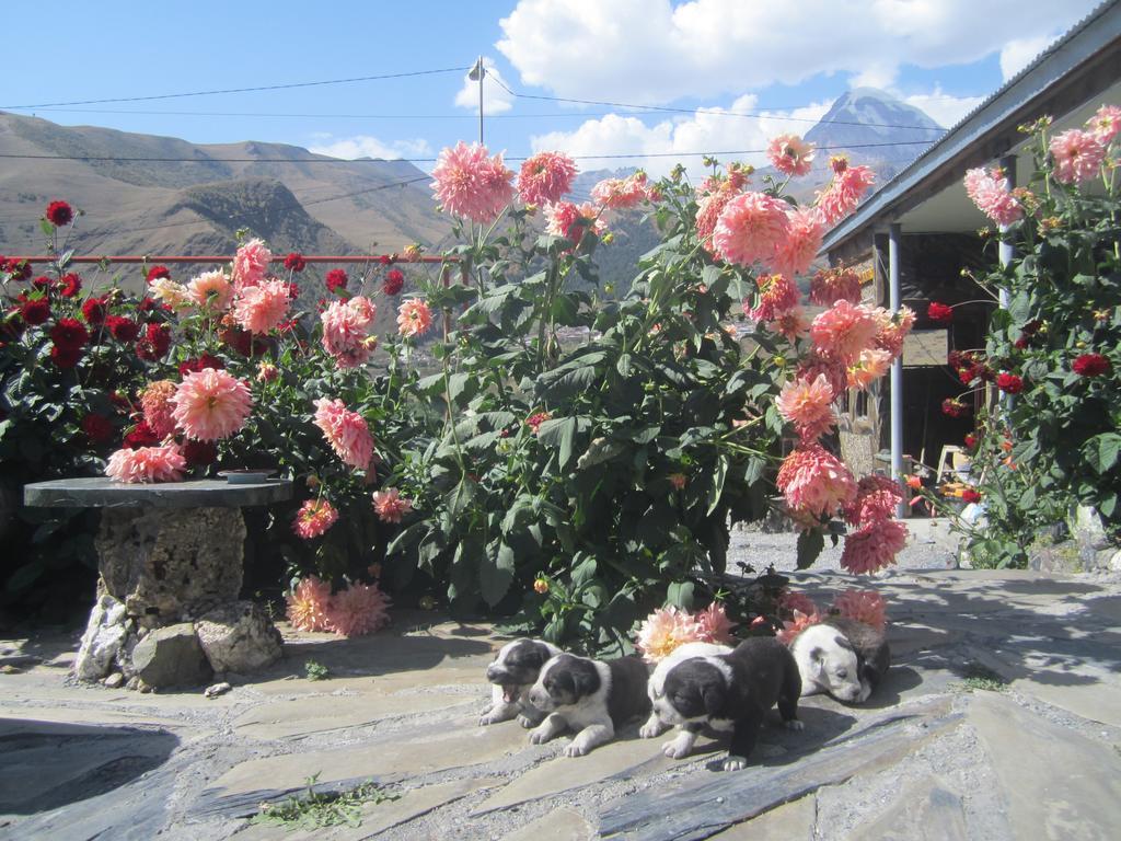Qusha Guesthouse Meeting In The Mountains And Views Казбеги Стая снимка