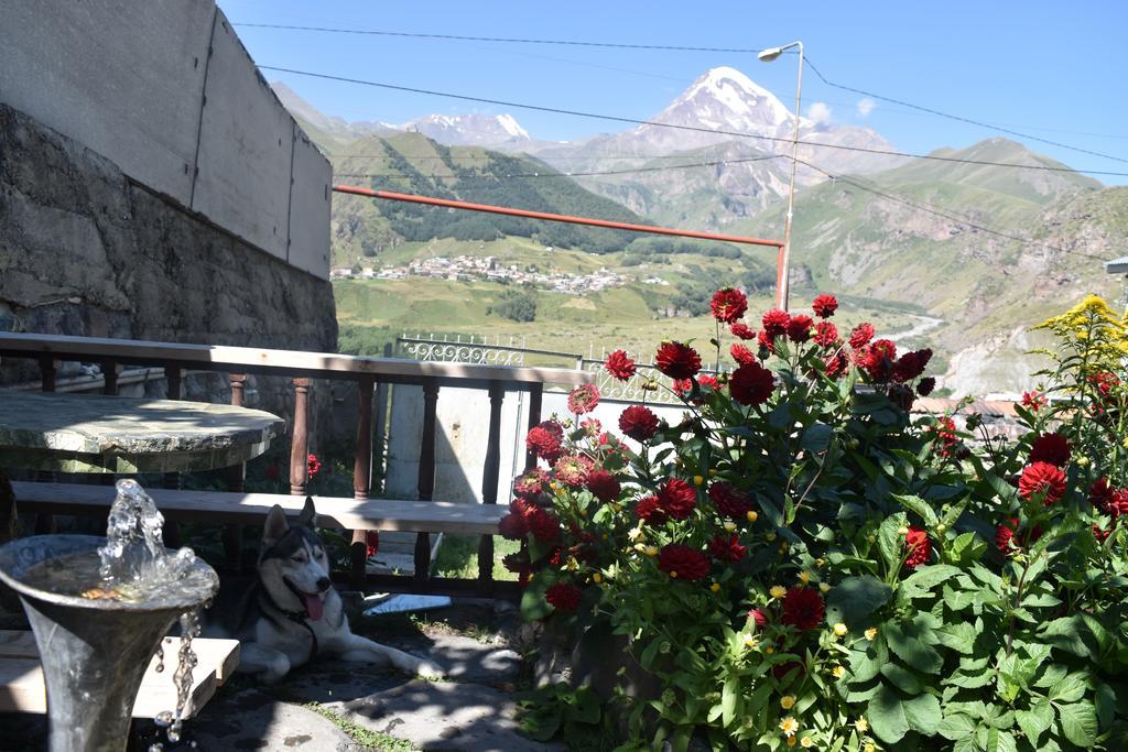 Qusha Guesthouse Meeting In The Mountains And Views Казбеги Екстериор снимка
