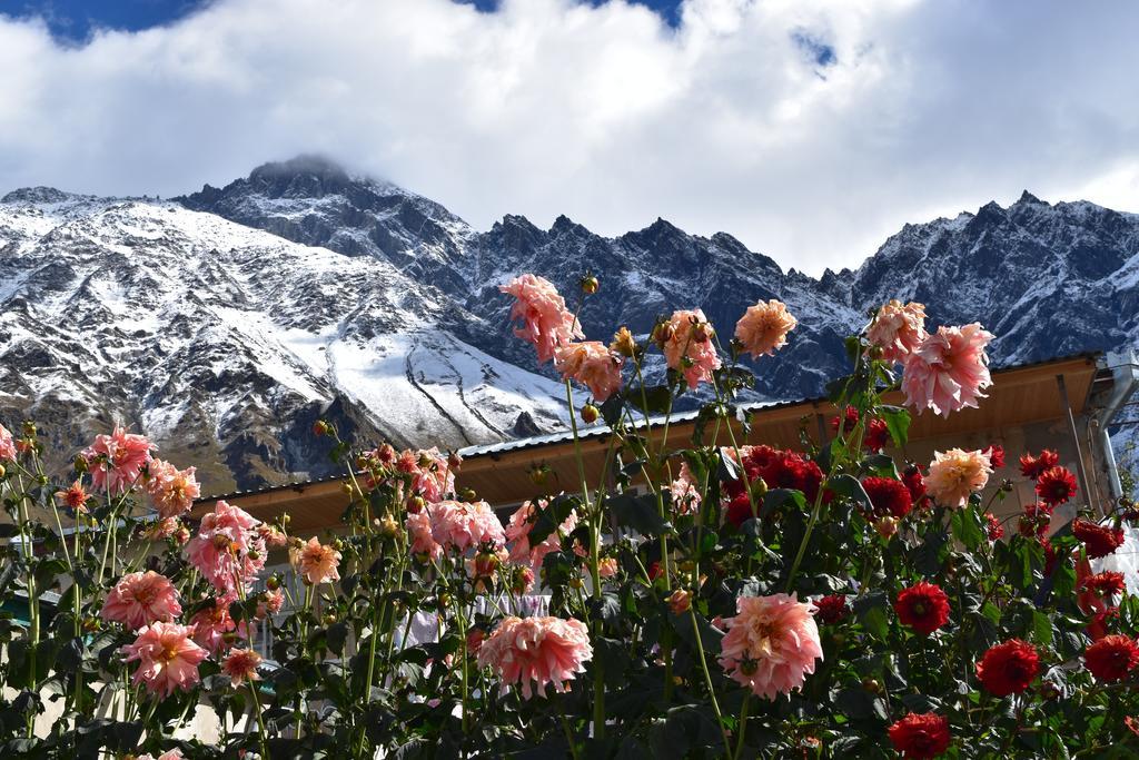 Qusha Guesthouse Meeting In The Mountains And Views Казбеги Екстериор снимка