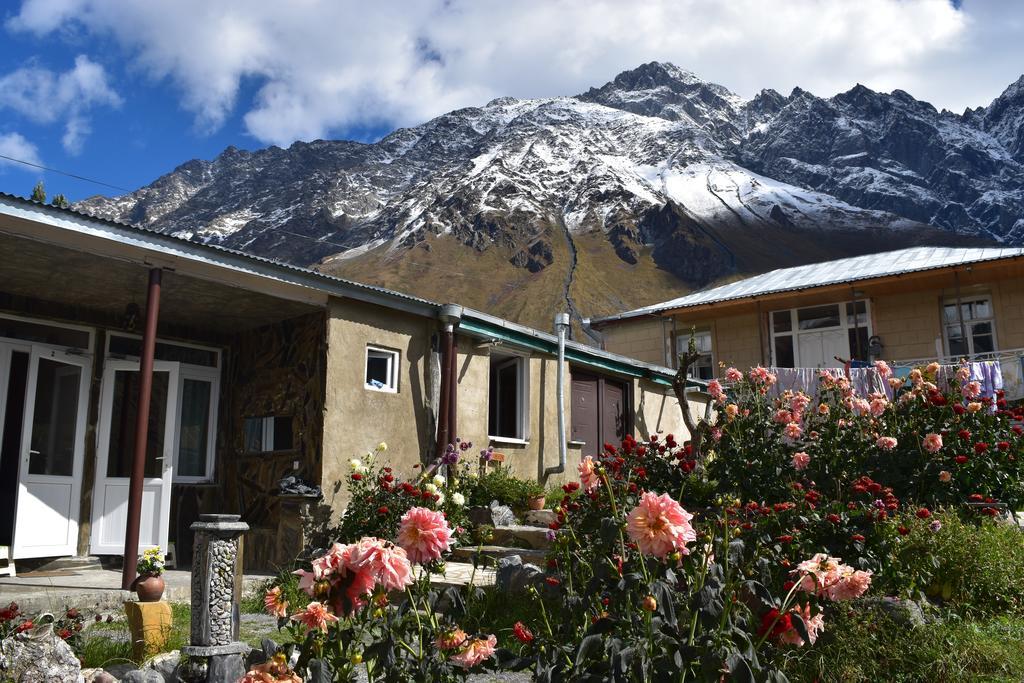 Qusha Guesthouse Meeting In The Mountains And Views Казбеги Екстериор снимка